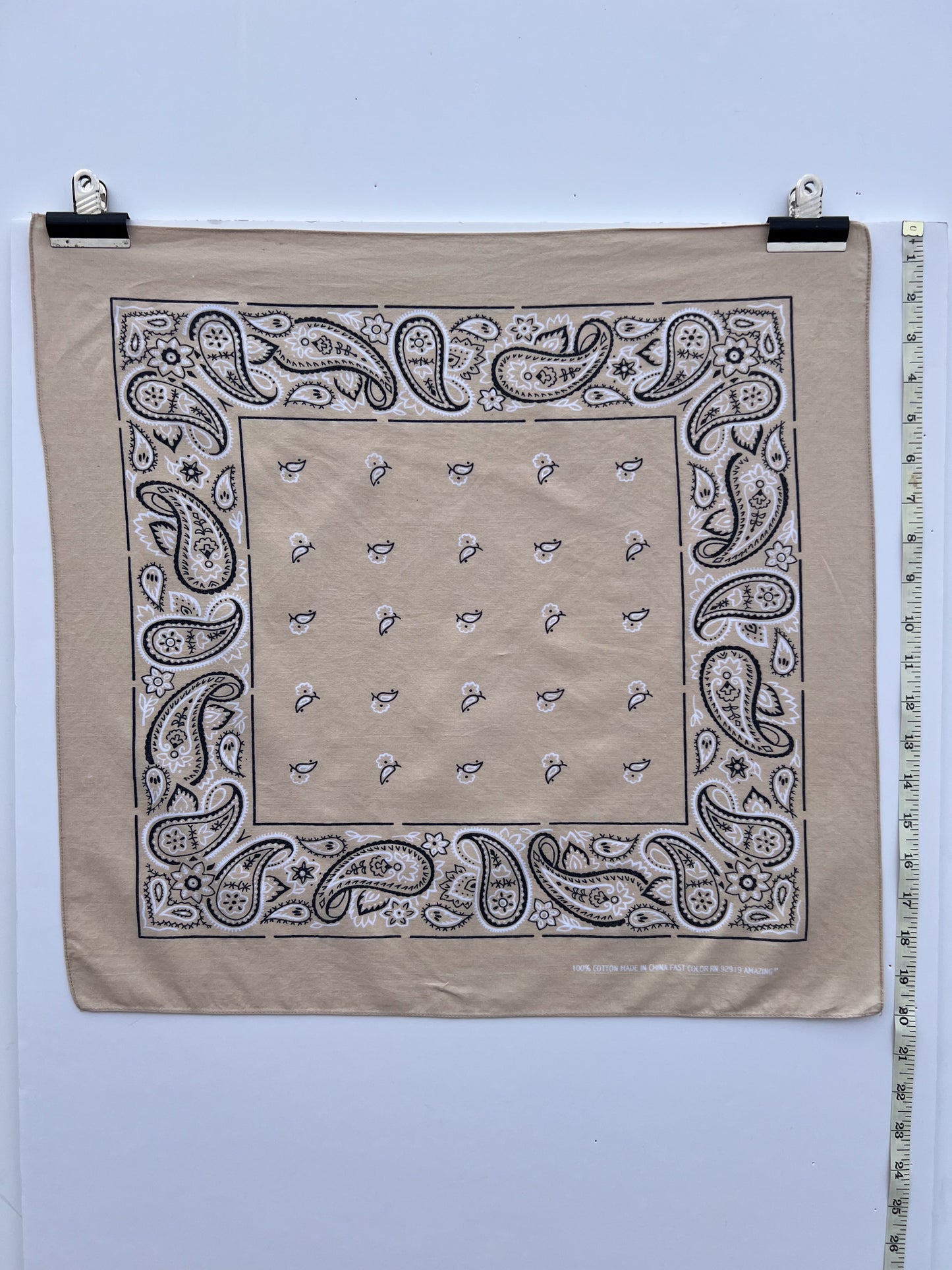 Beige Wash Paisley Border Print Bandana