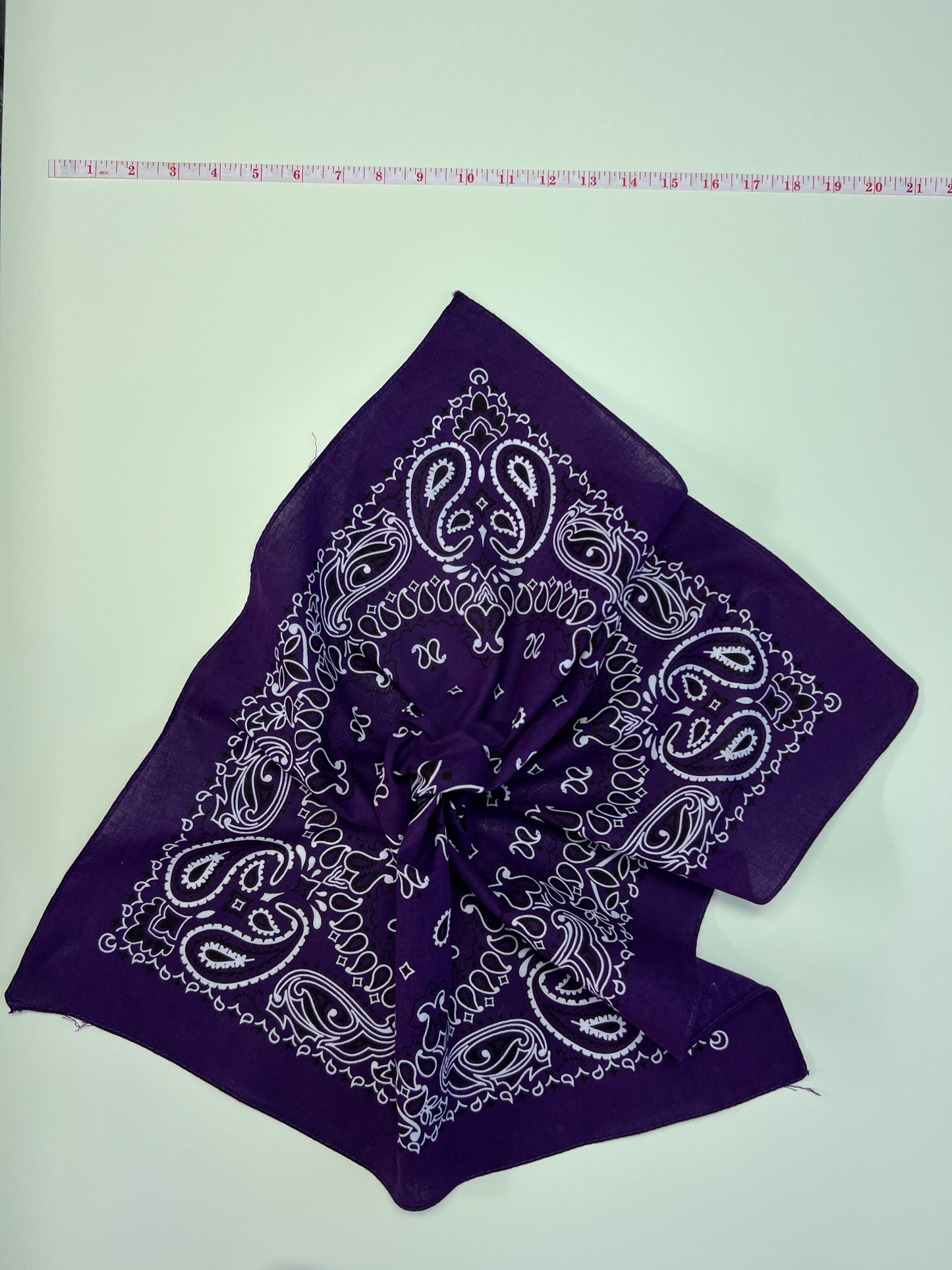 Deep Purple Paisley Print Bandana