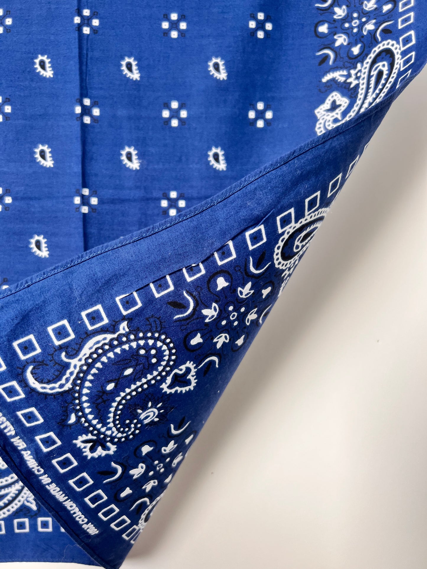 Blue Paisley Print Bandana with Black & White
