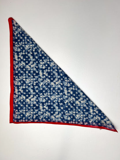 Blue Star Print & Red Border Bandana