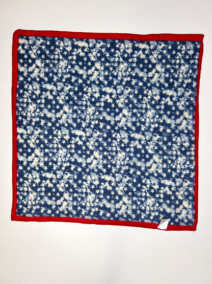 Blue Star Print & Red Border Bandana
