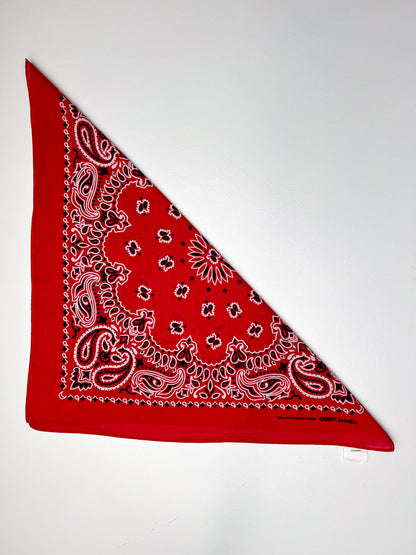 Red White & Black Paisley Print Bandana