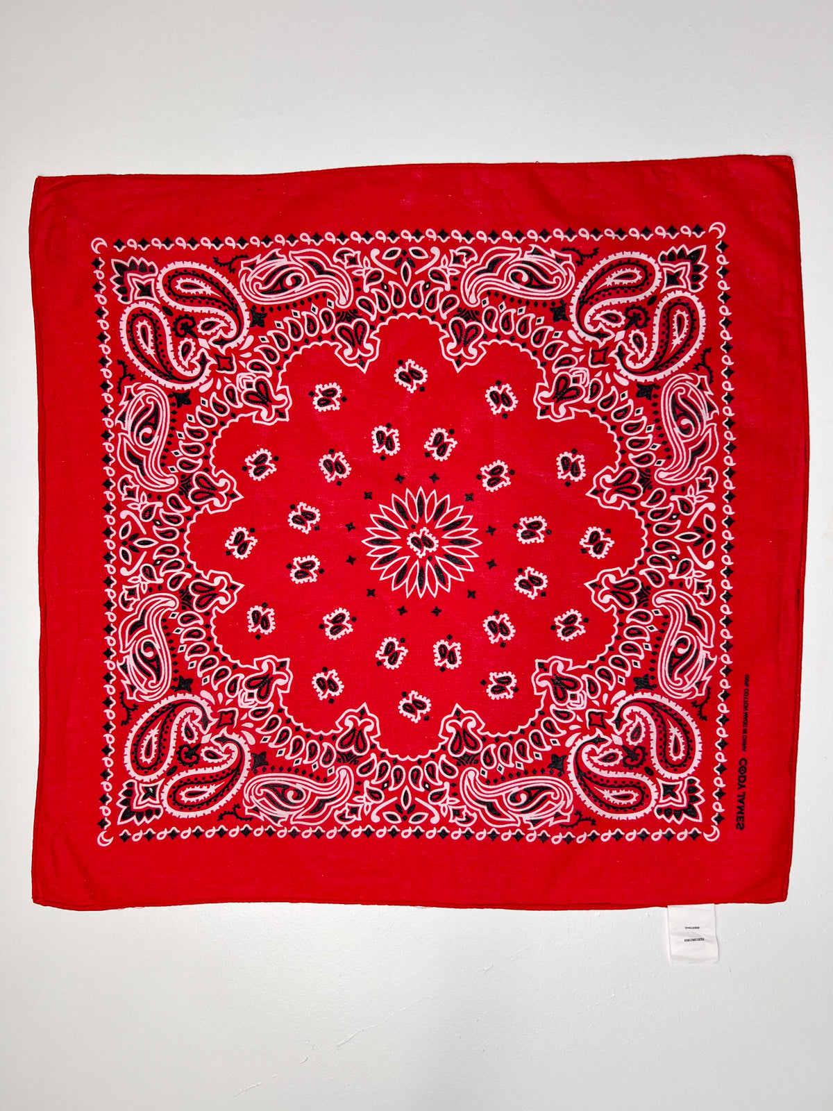 Red White & Black Paisley Print Bandana