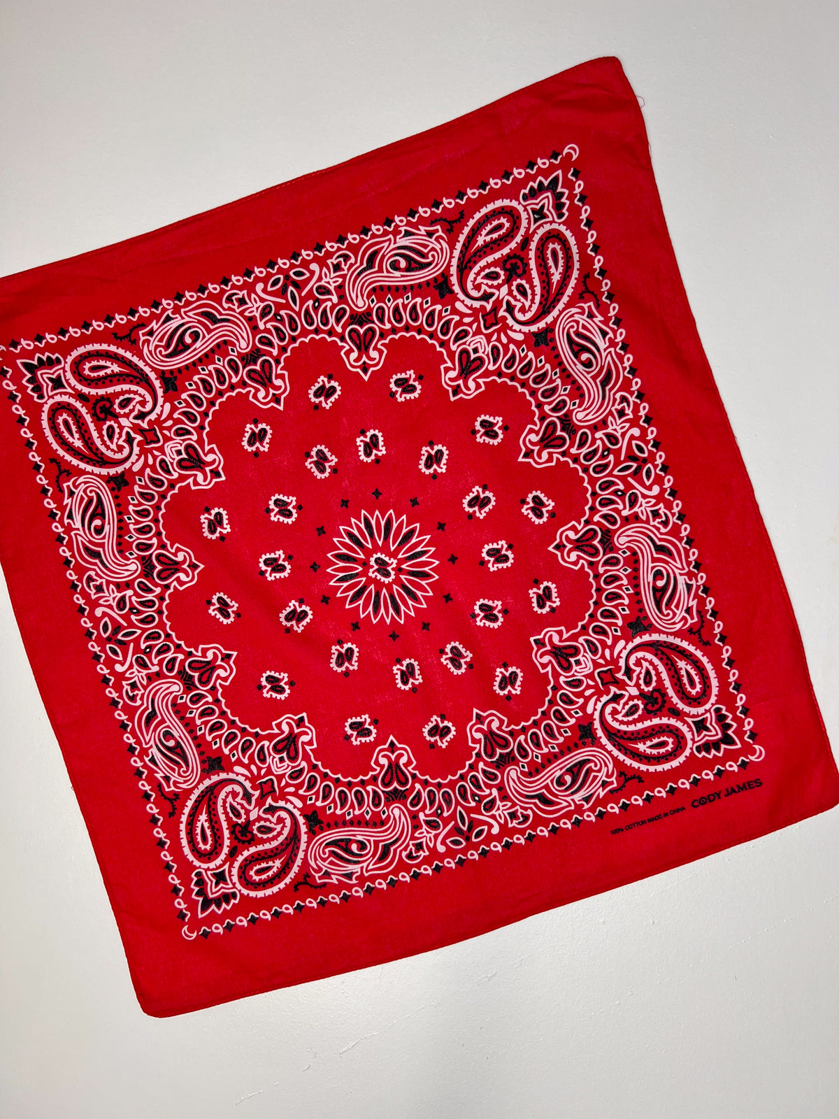Red White & Black Paisley Print Bandana
