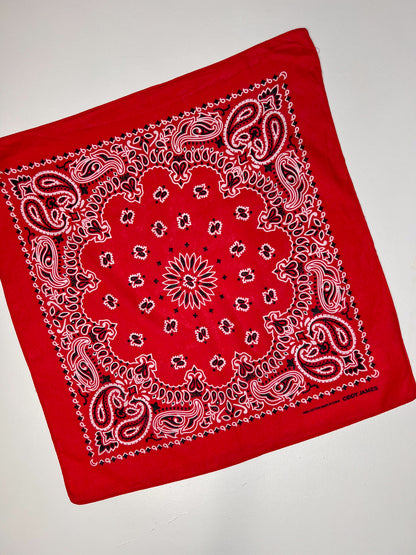 Red White & Black Paisley Print Bandana