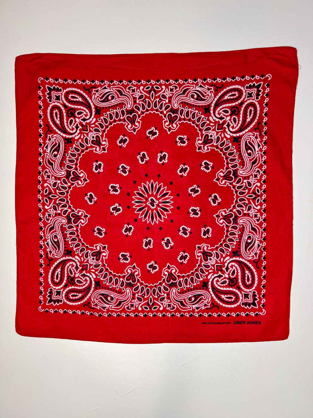 Red White & Black Paisley Print Bandana