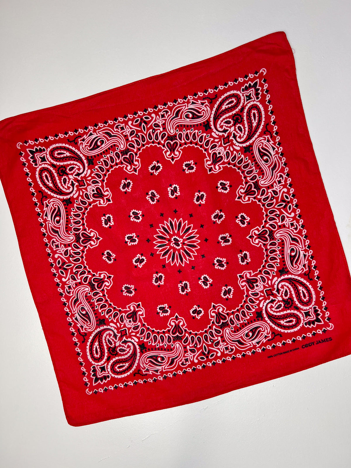 Red White & Black Paisley Print Bandana