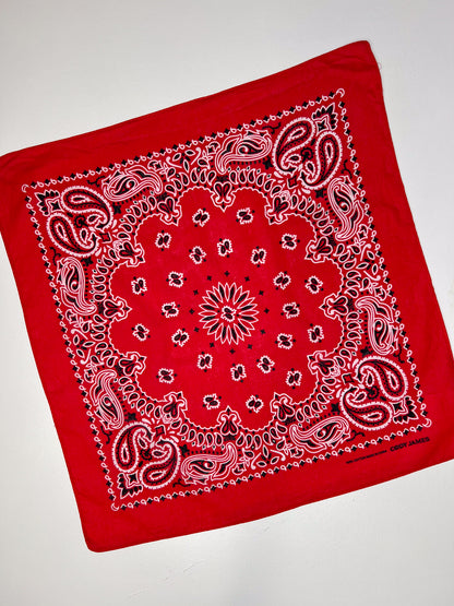 Red White & Black Paisley Print Bandana