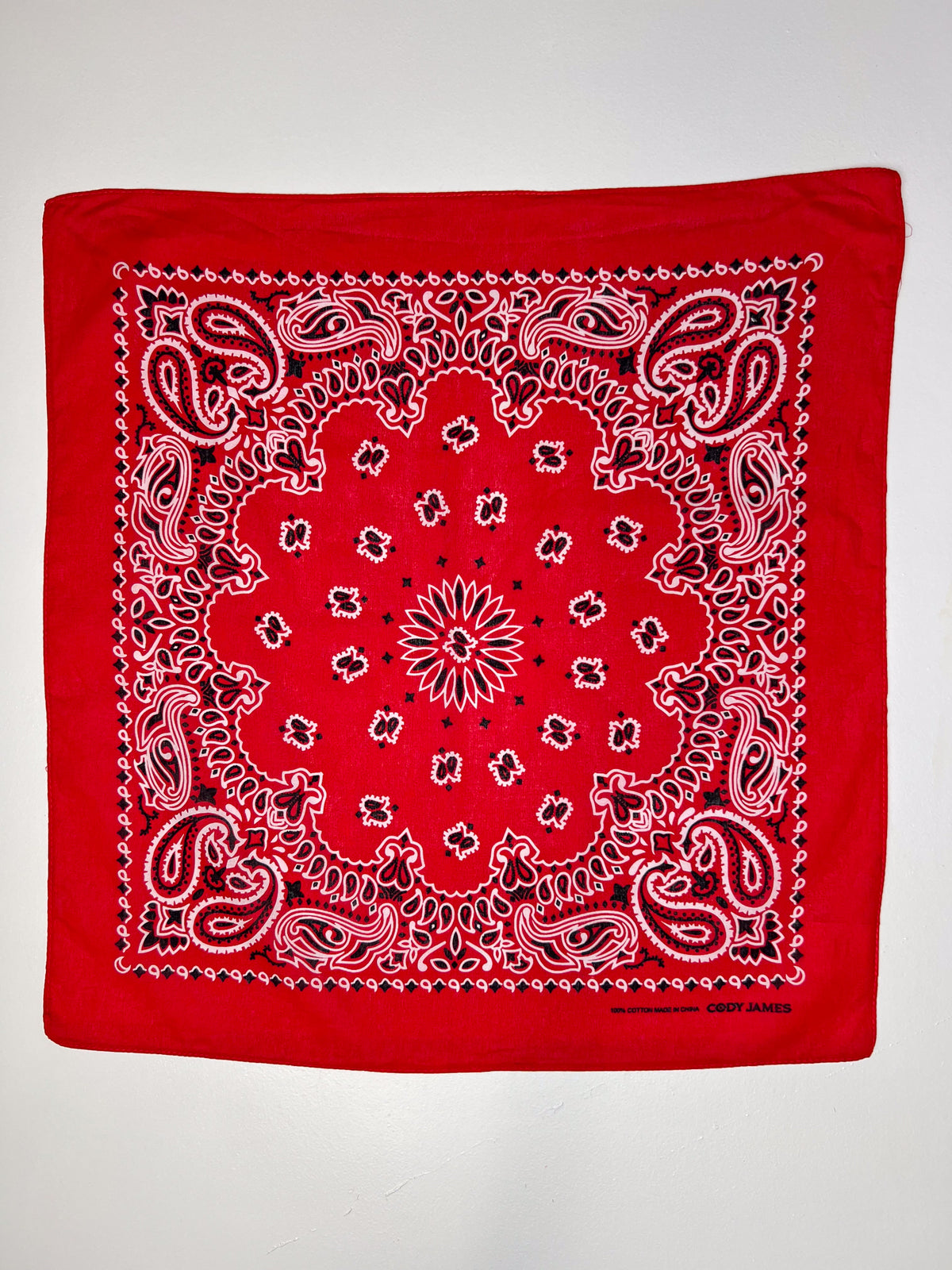 Red White & Black Paisley Print Bandana