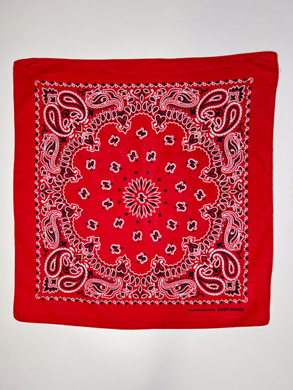 Red White & Black Paisley Print Bandana