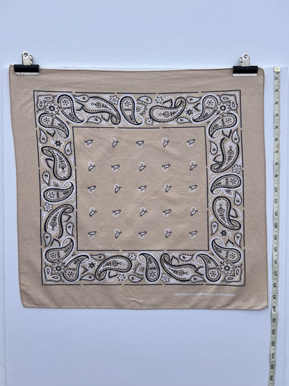 Beige Wash Paisley Border Print Bandana
