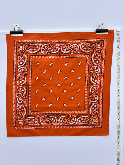 Small Orange Paisley Print Bandana
