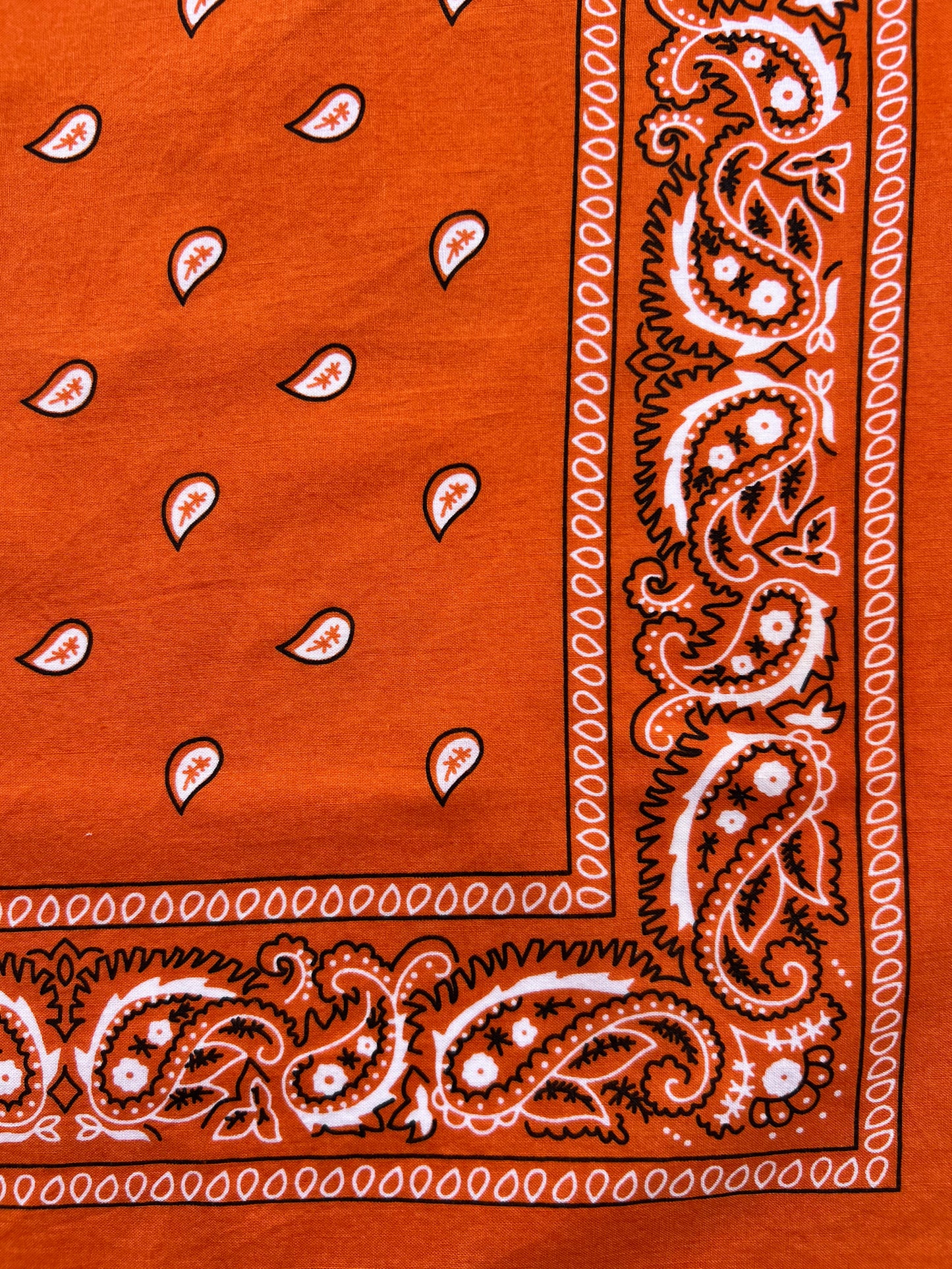 Small Orange Paisley Print Bandana