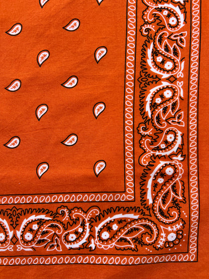 Small Orange Paisley Print Bandana