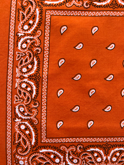 Small Orange Paisley Print Bandana
