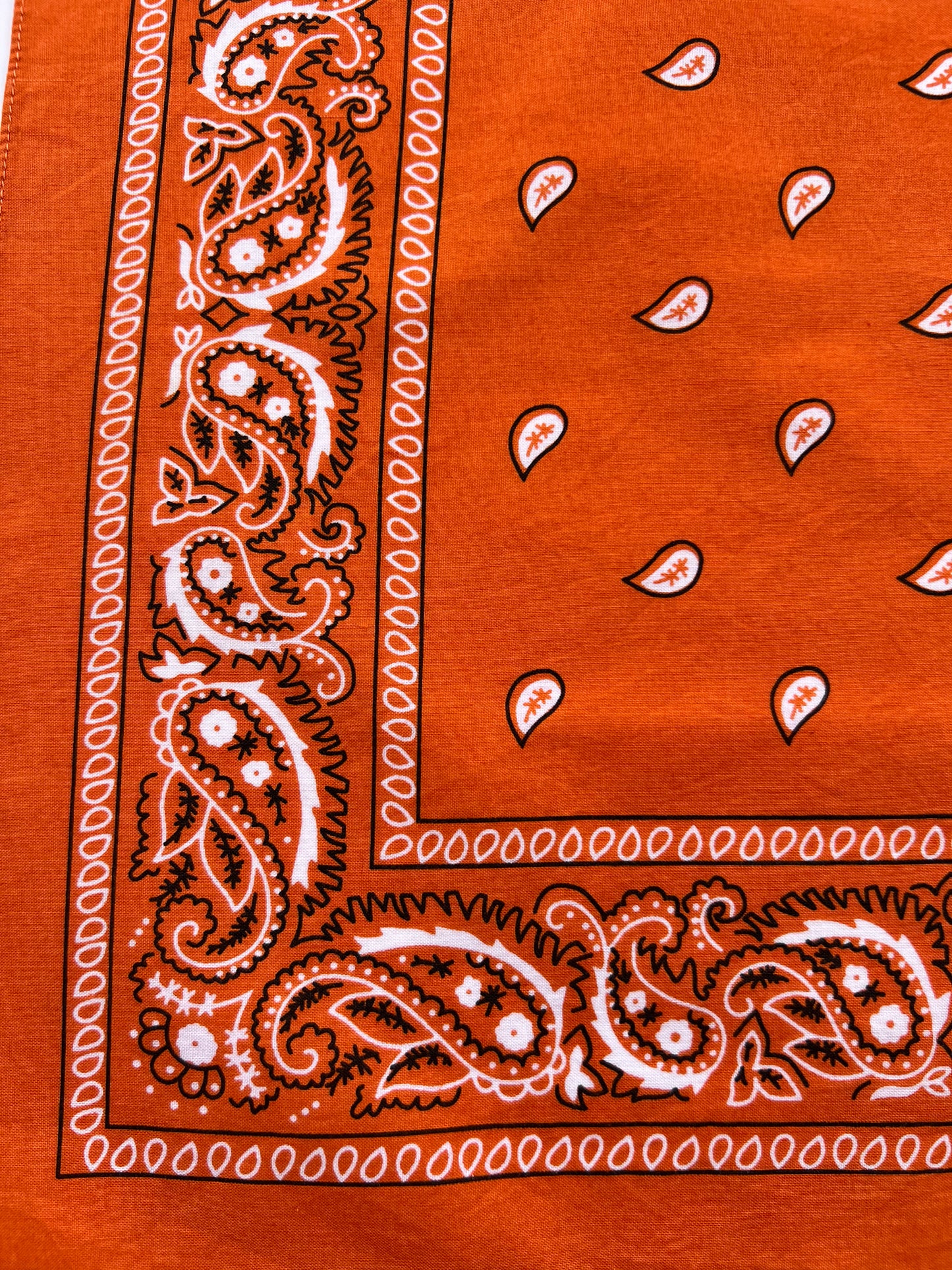 Small Orange Paisley Print Bandana
