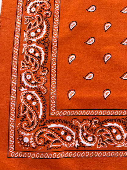 Small Orange Paisley Print Bandana