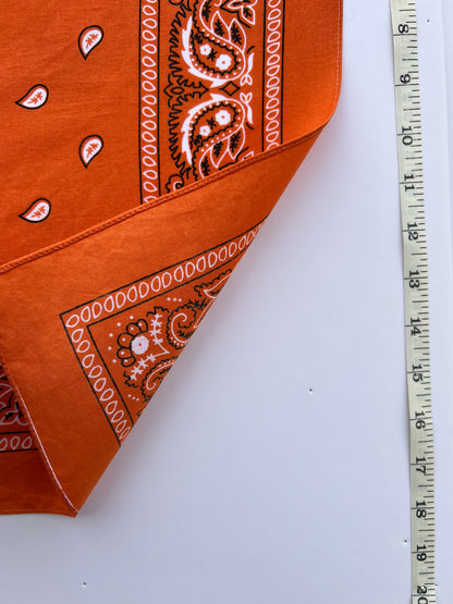 Small Orange Paisley Print Bandana