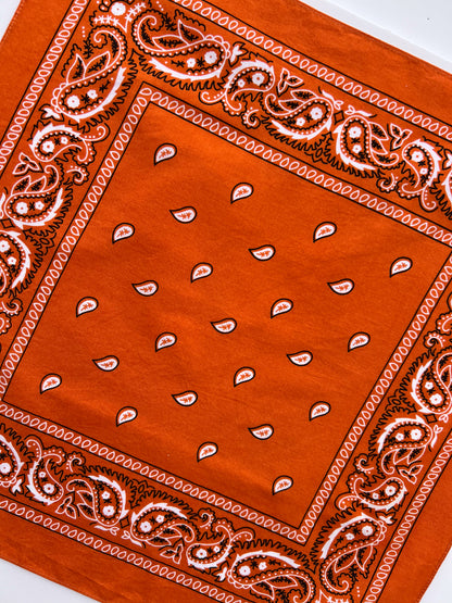 Small Orange Paisley Print Bandana