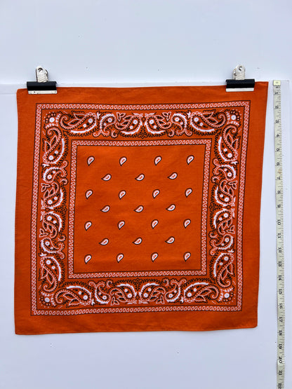 Small Orange Paisley Print Bandana