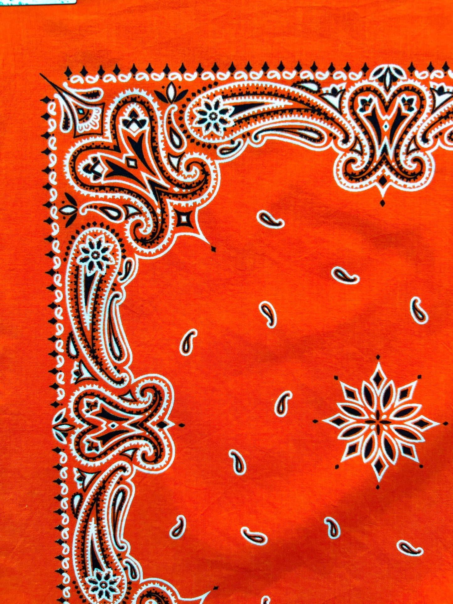 Deep Orange Paisley Border Print Bandana