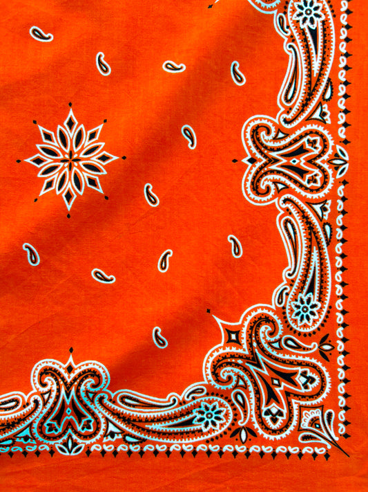 Deep Orange Paisley Border Print Bandana