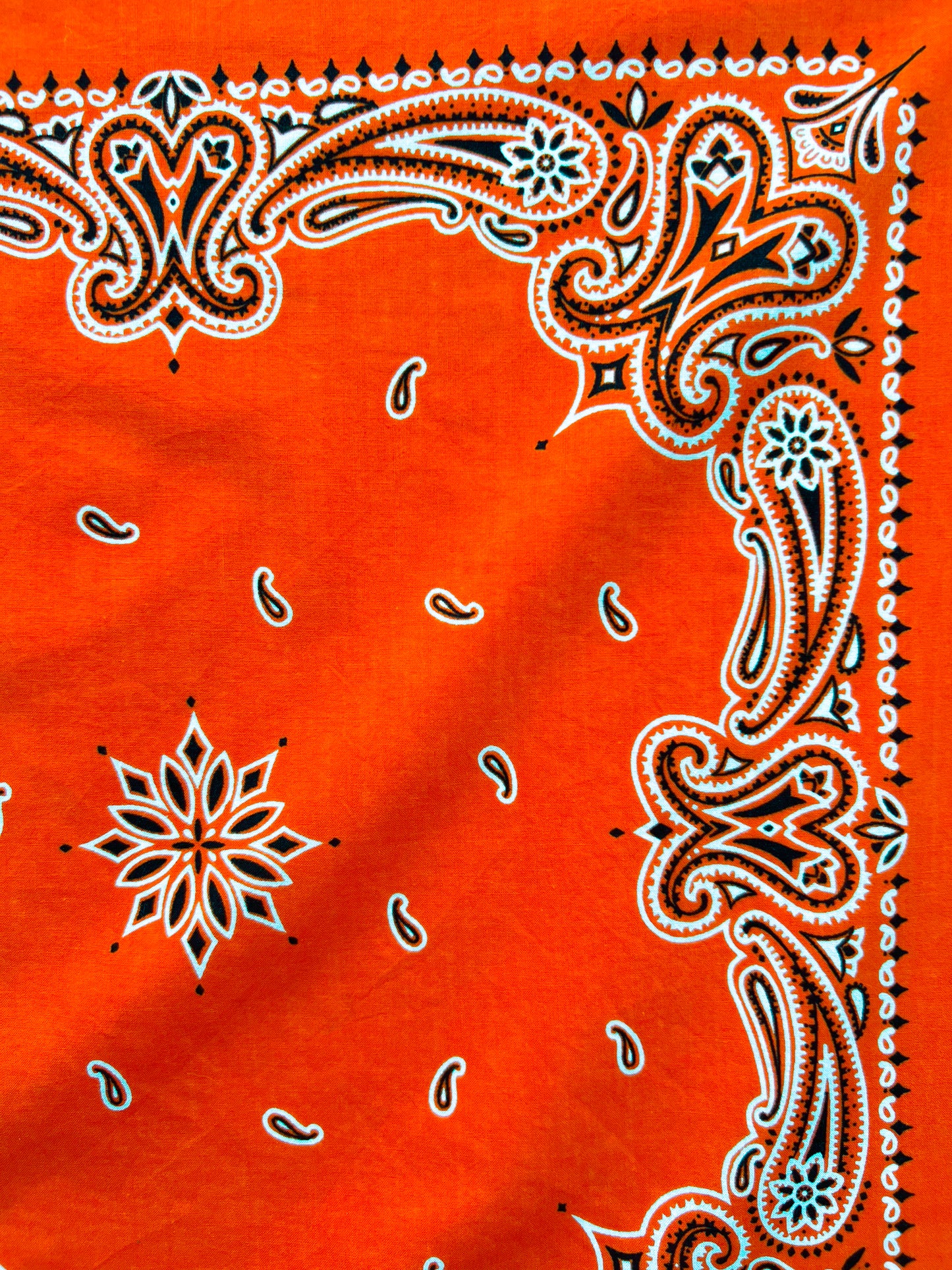 Deep Orange Paisley Border Print Bandana