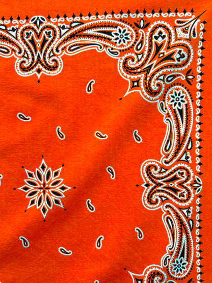 Deep Orange Paisley Border Print Bandana