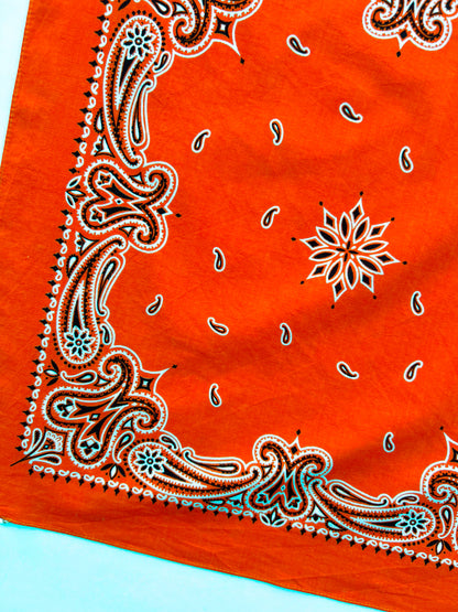 Deep Orange Paisley Border Print Bandana