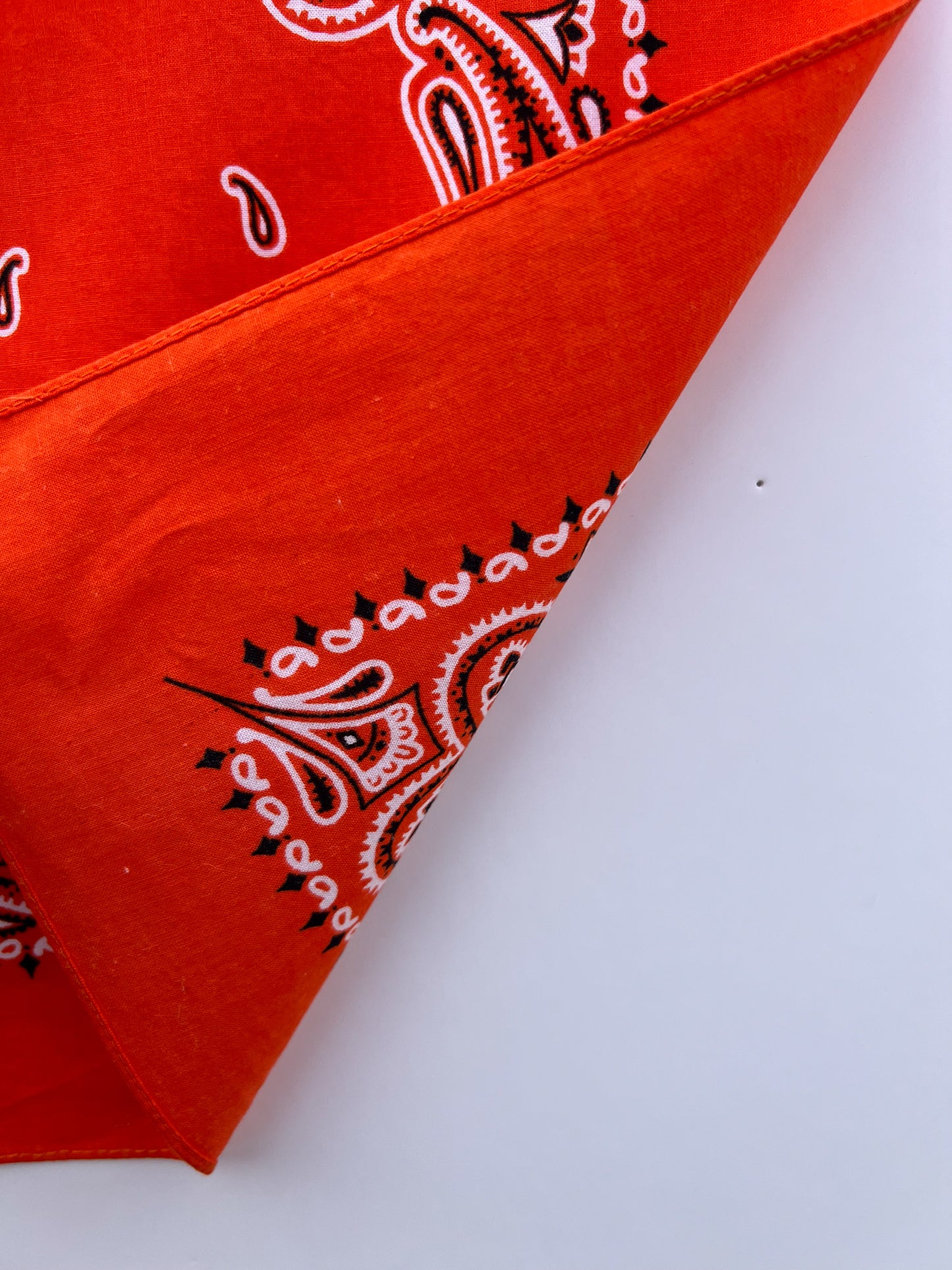 Deep Orange Paisley Border Print Bandana