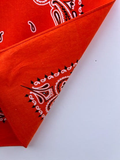 Deep Orange Paisley Border Print Bandana