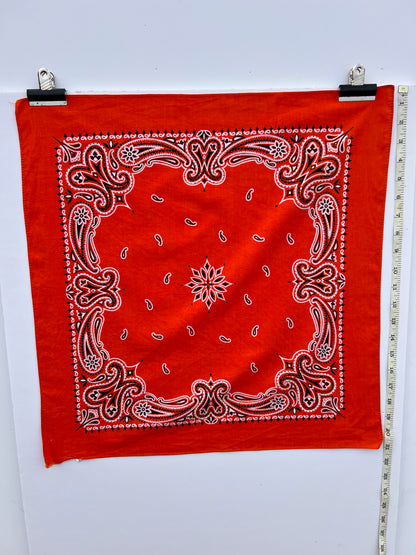 Deep Orange Paisley Border Print Bandana