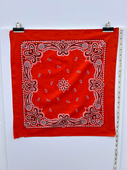 Deep Orange Paisley Border Print Bandana