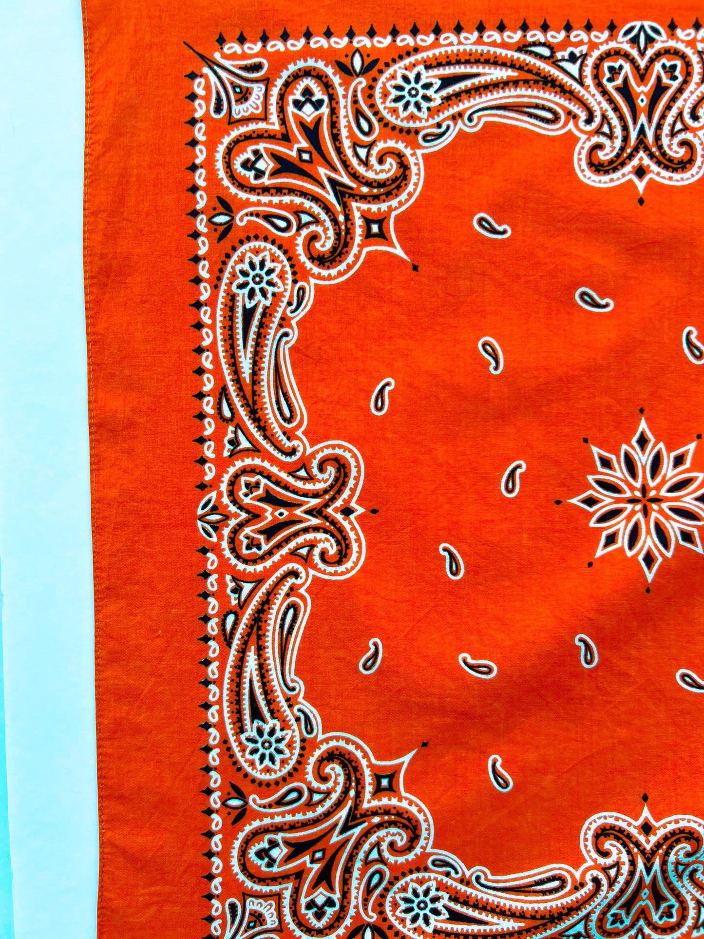 Deep Orange Paisley Border Print Bandana
