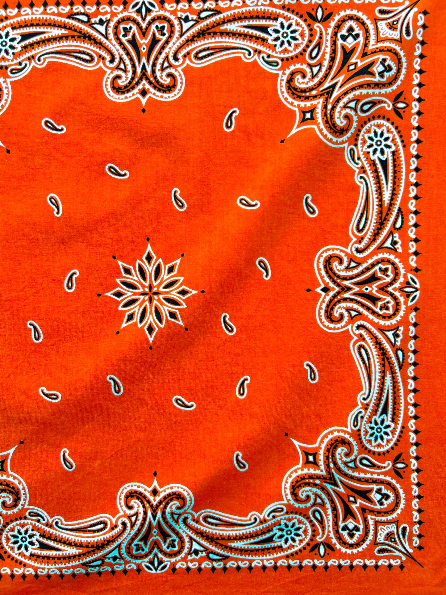 Deep Orange Paisley Border Print Bandana