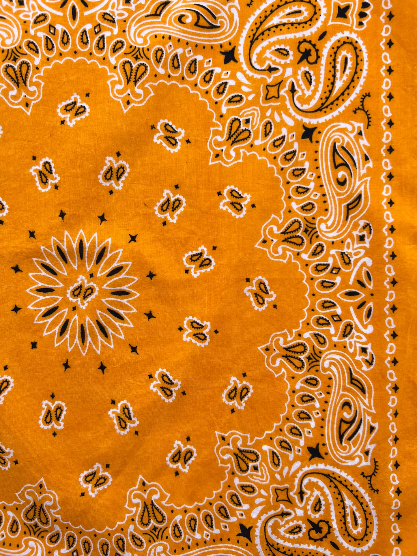 Mango Orange Paisley Print Bandana