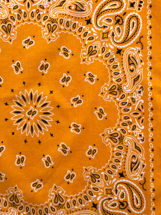 Mango Orange Paisley Print Bandana