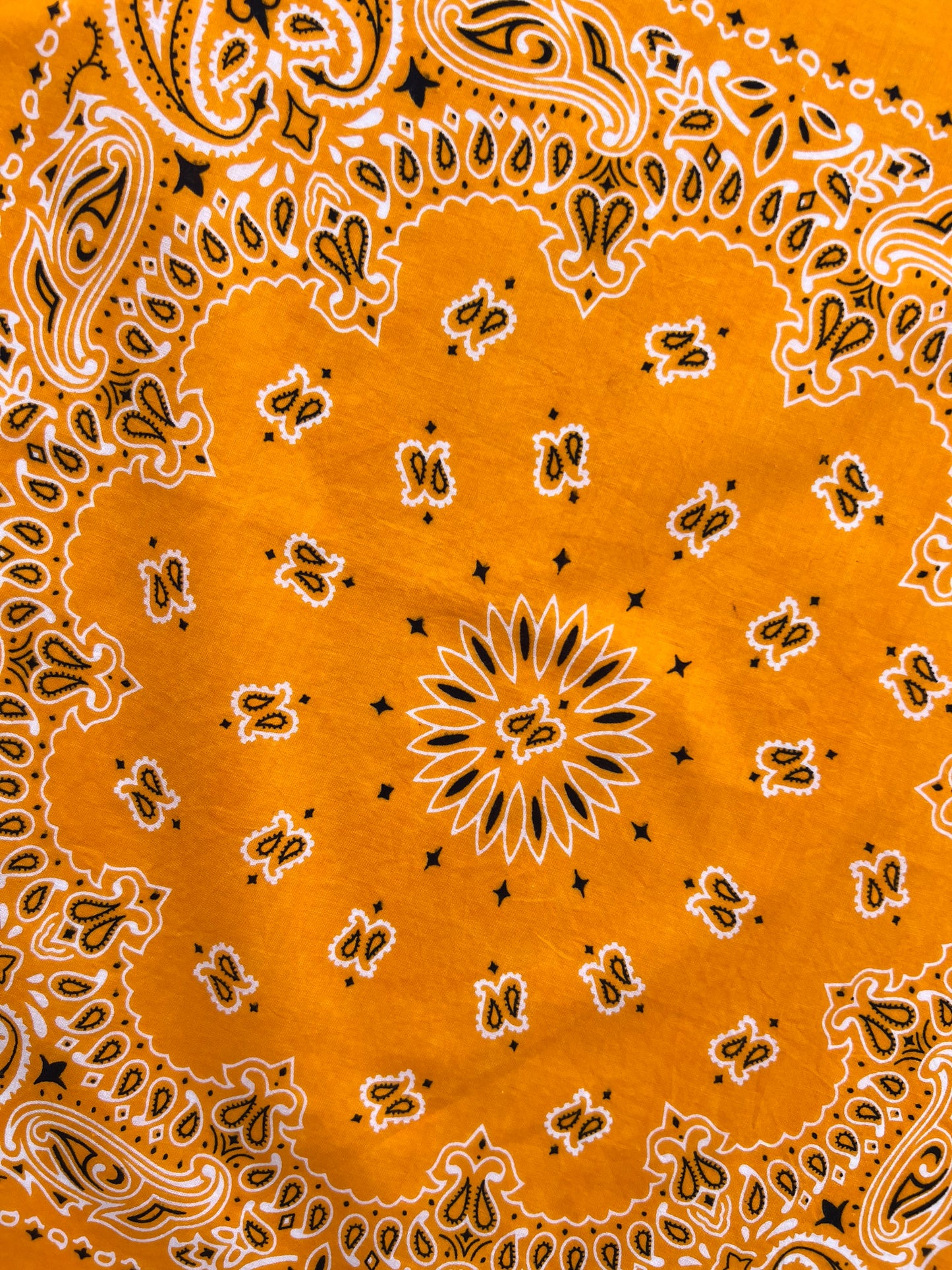 Mango Orange Paisley Print Bandana