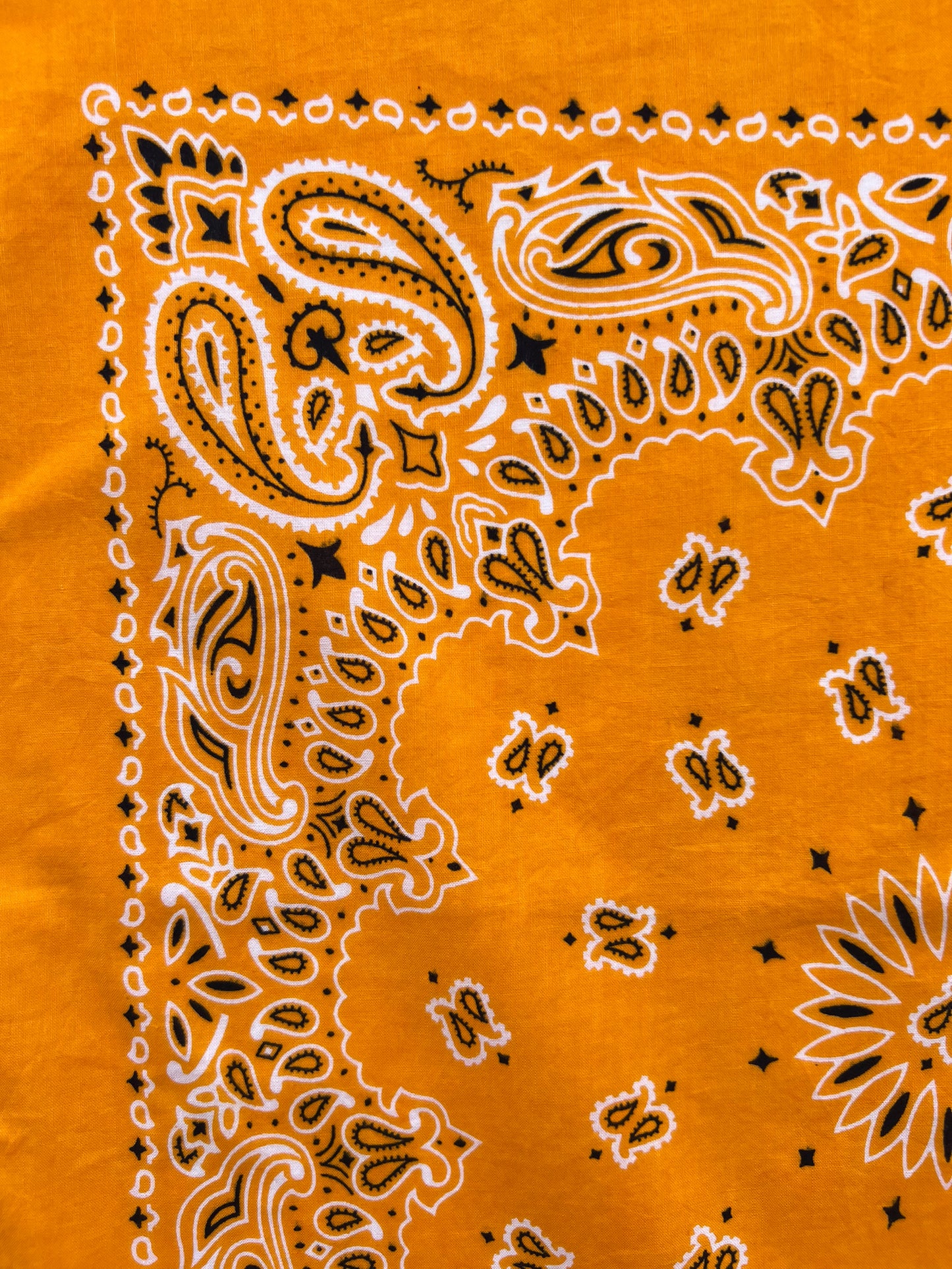 Mango Orange Paisley Print Bandana