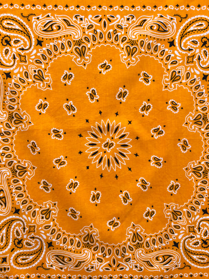 Mango Orange Paisley Print Bandana