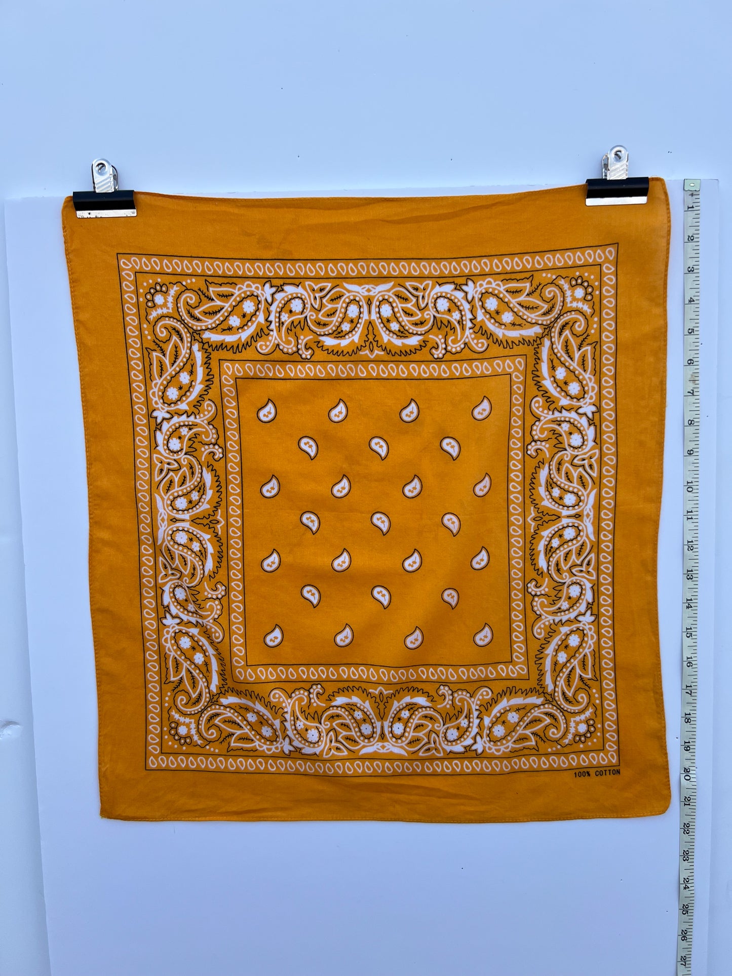 Mango Orange Paisley Print Border Bandana