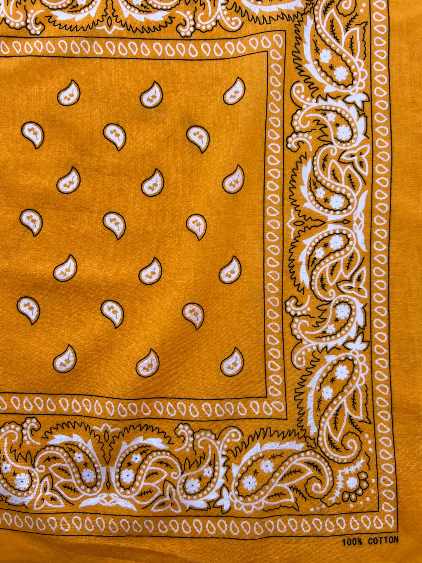Mango Orange Paisley Print Border Bandana