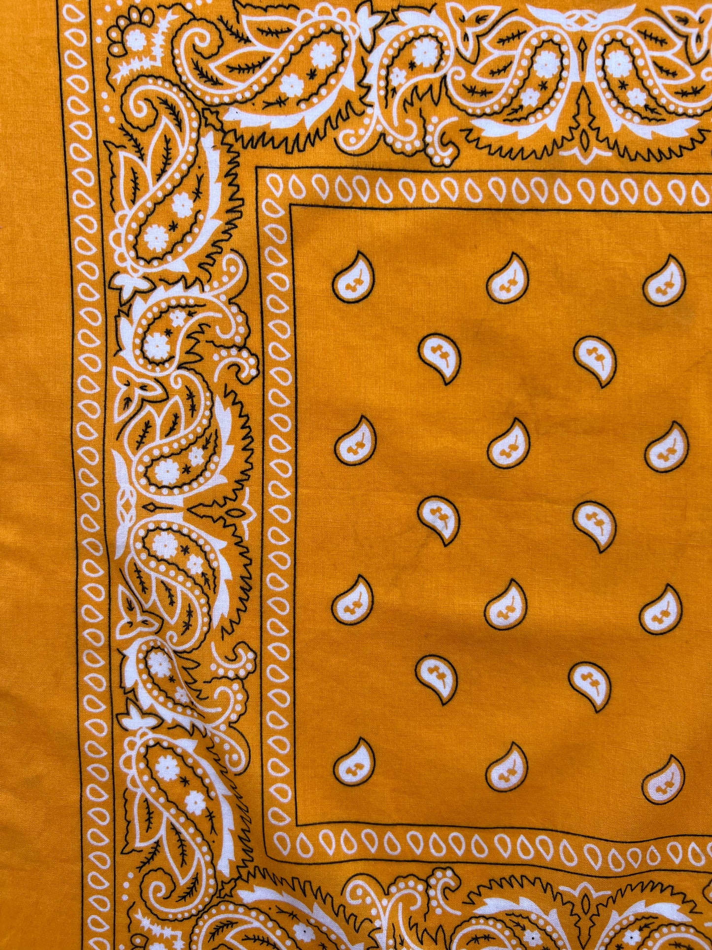 Mango Orange Paisley Print Border Bandana