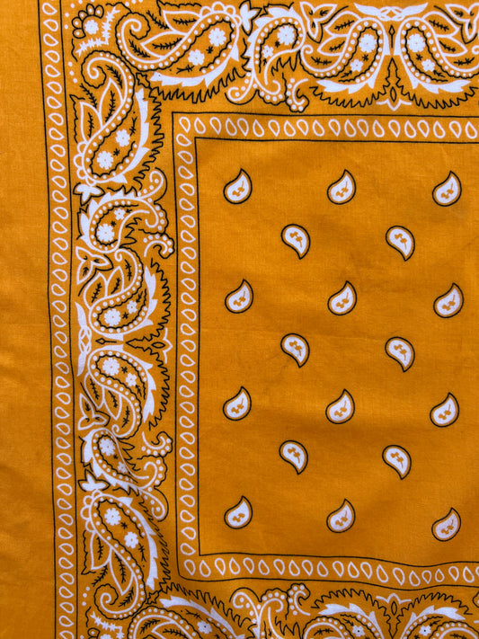 Mango Orange Paisley Print Border Bandana