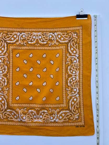 Mango Orange Paisley Print Border Bandana