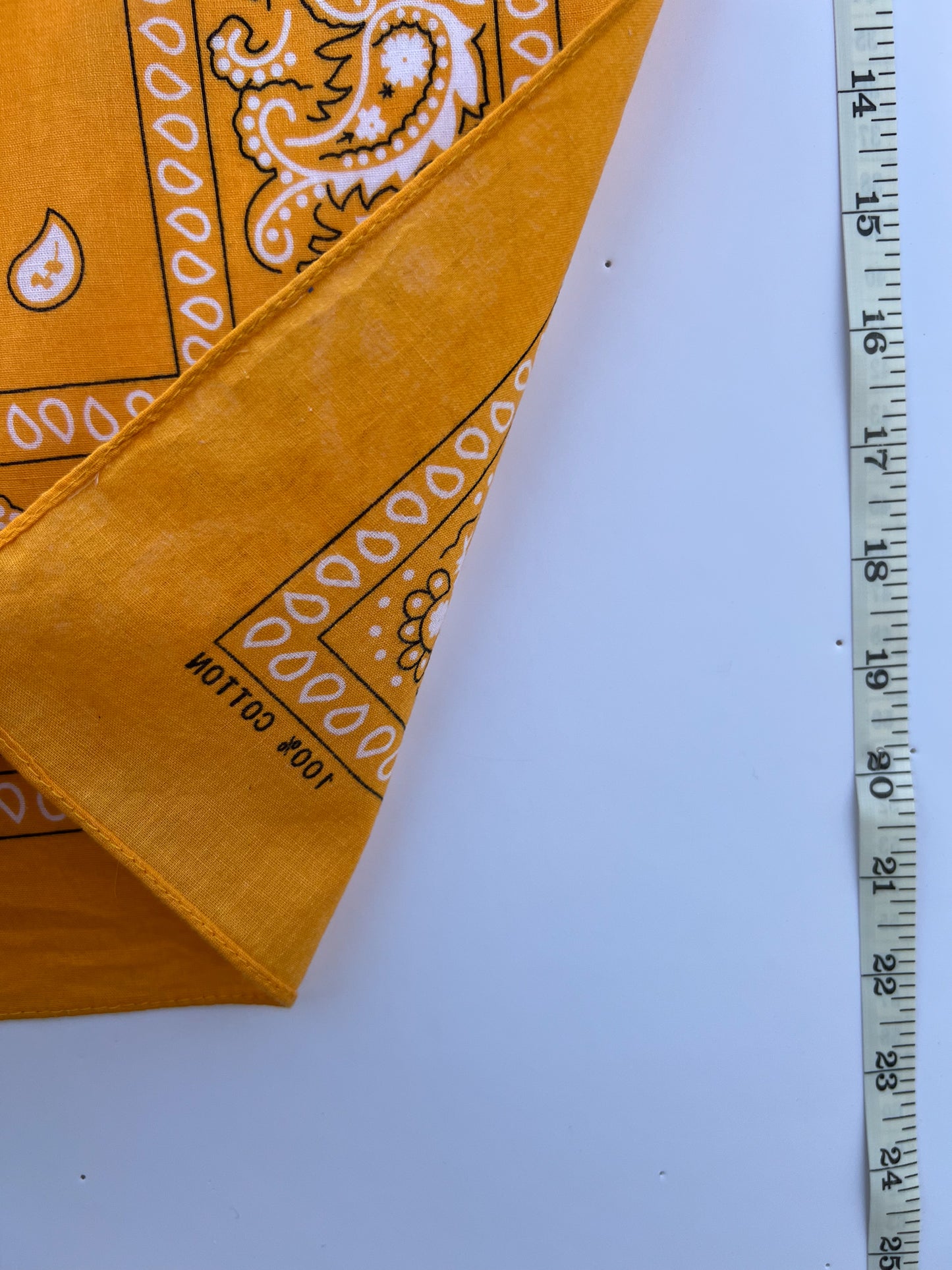 Mango Orange Paisley Print Border Bandana