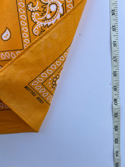 Mango Orange Paisley Print Border Bandana
