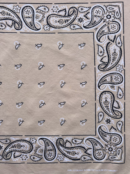 Beige Wash Paisley Border Print Bandana