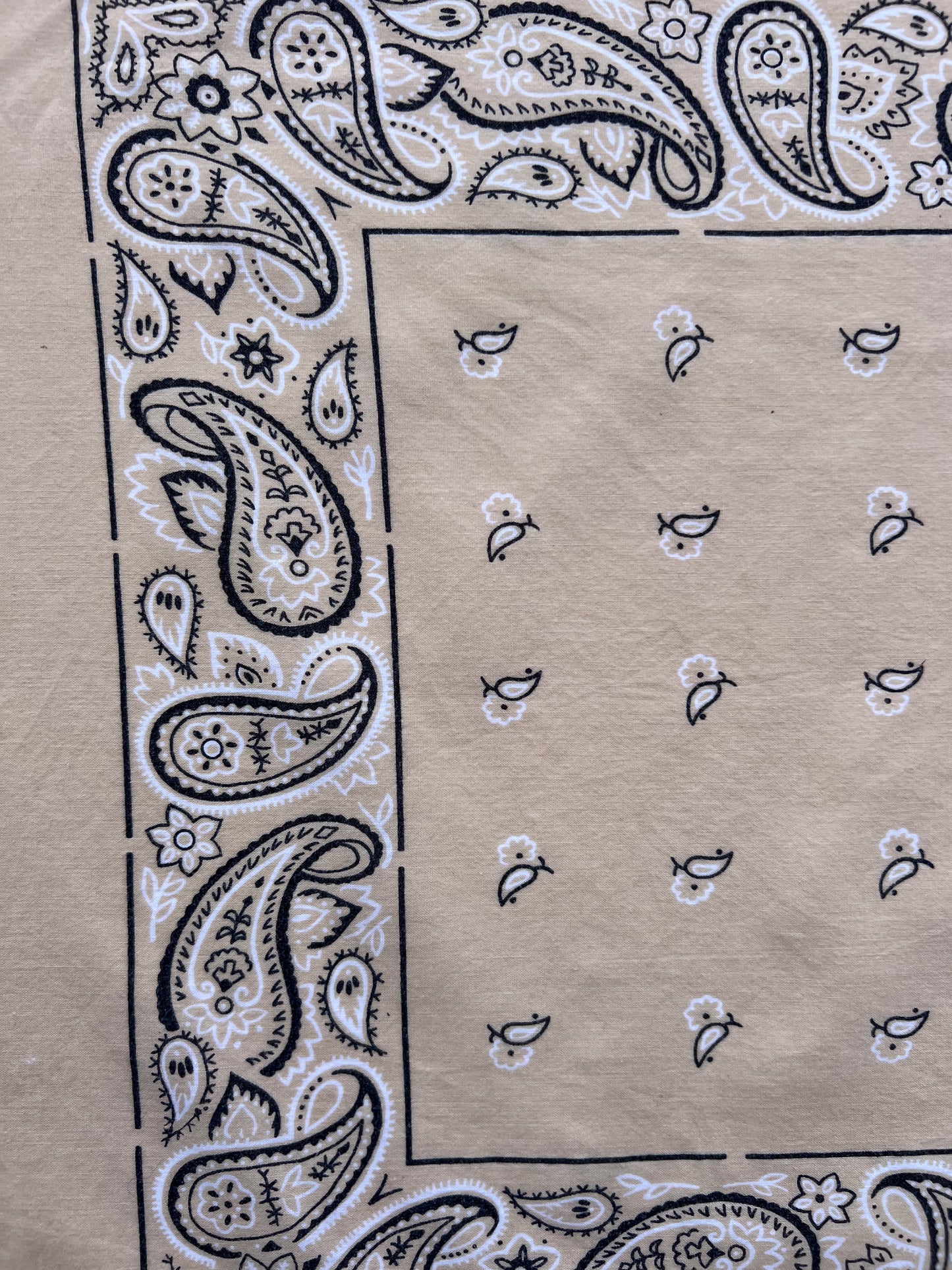 Beige Wash Paisley Border Print Bandana