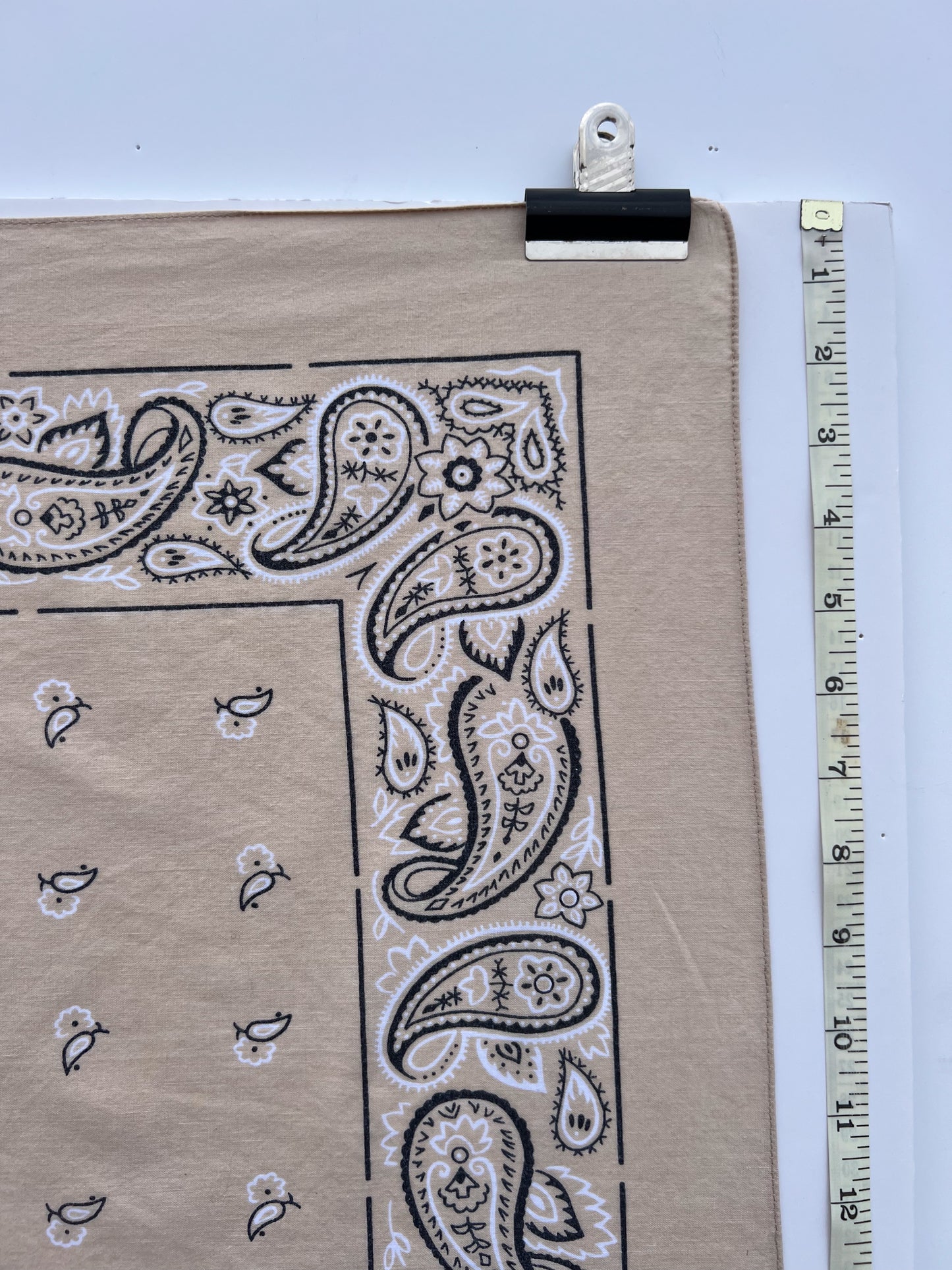 Beige Wash Paisley Border Print Bandana